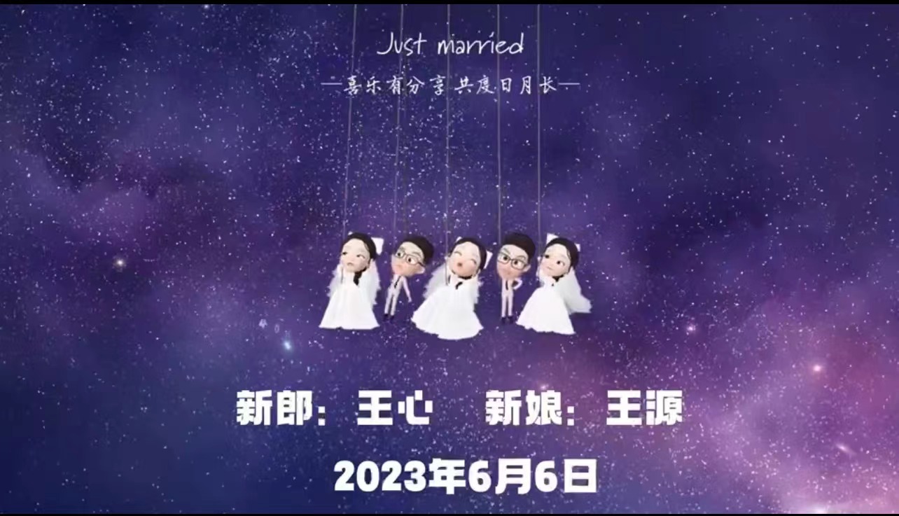 13小红书崽崽（13张）婚礼开场视频