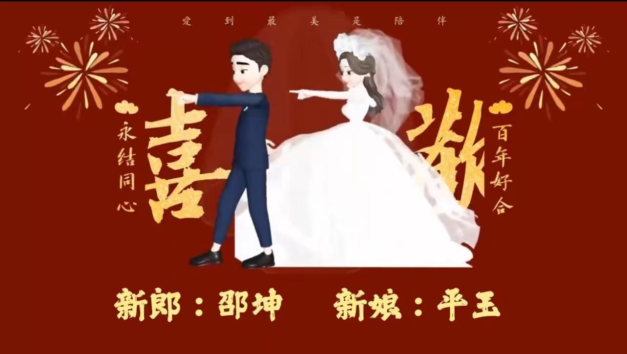 17小红书崽崽（13张）婚礼开场视频