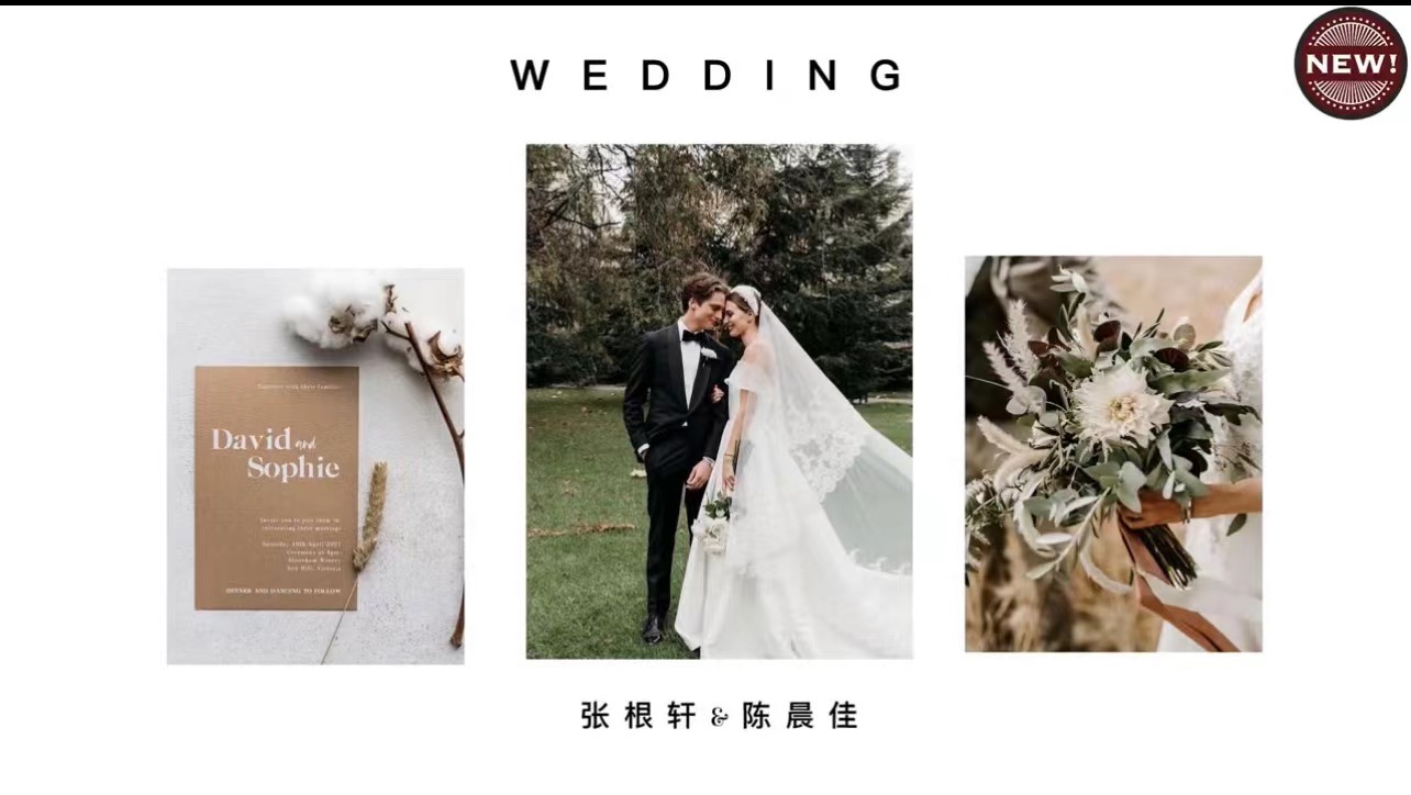 A4婚礼暖场视频(19张)