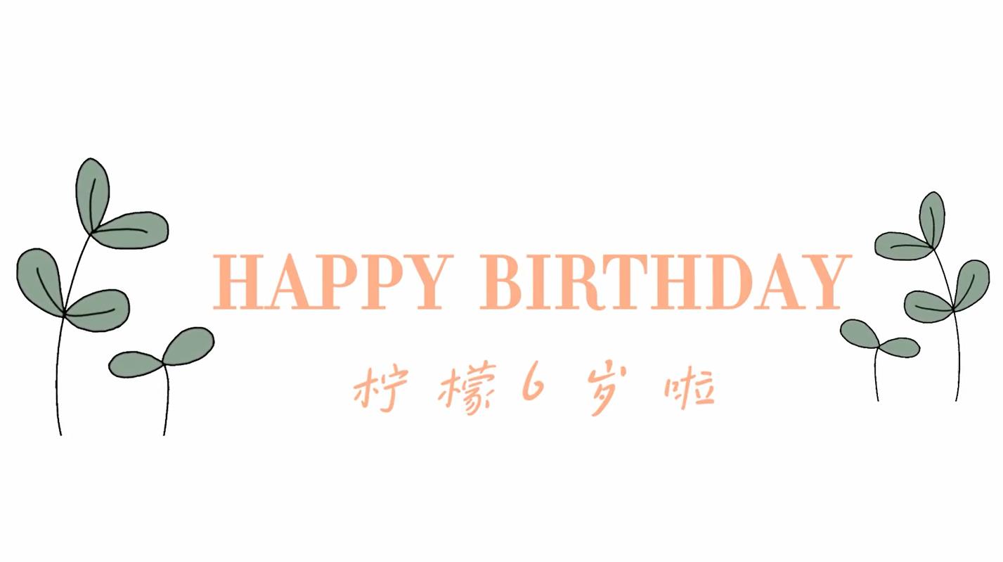 b24儿童生日相册