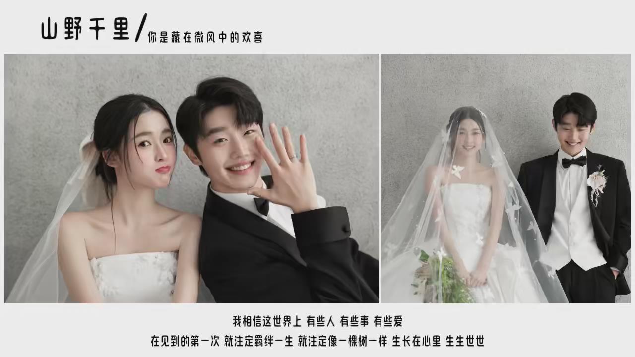 A45婚礼暖场视频(38张)